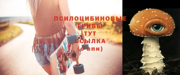 прущие крисы Алзамай