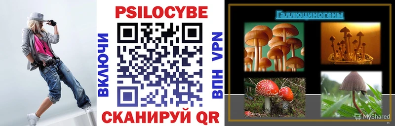 Галлюциногенные грибы Psilocybe  Котельнич 