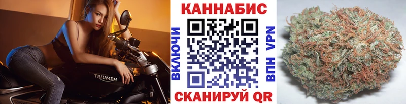 Шишки марихуана Amnesia мега tor Котельнич